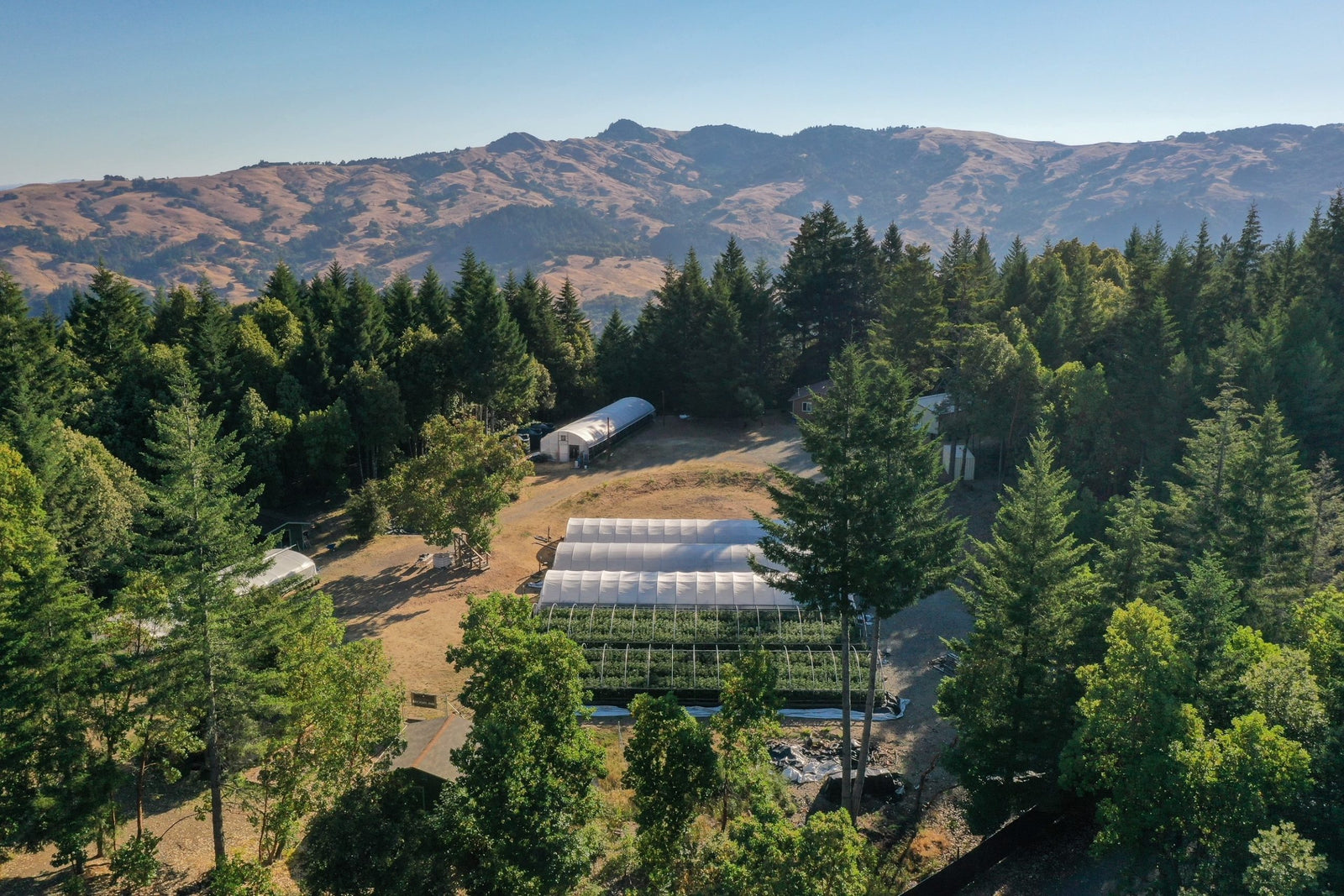 Ridgeline Farms, Lantz have banner year in 2023