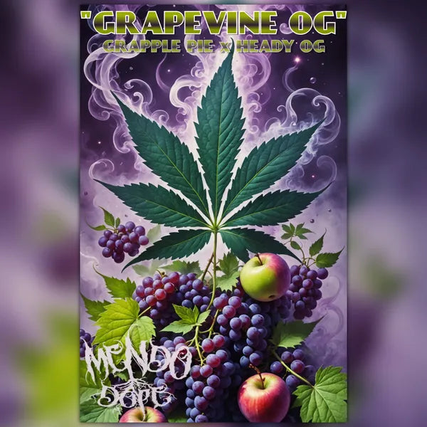 Grapevine OG - 10 Pack Regs – Tangled Roots