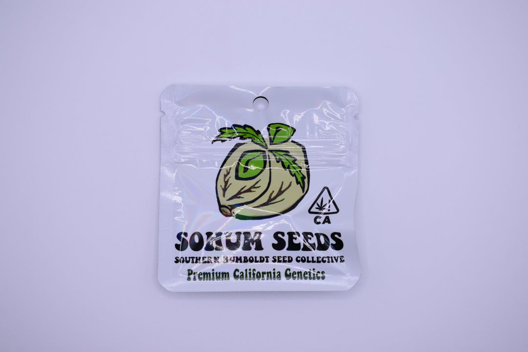 Sour D - Quicks - Fems