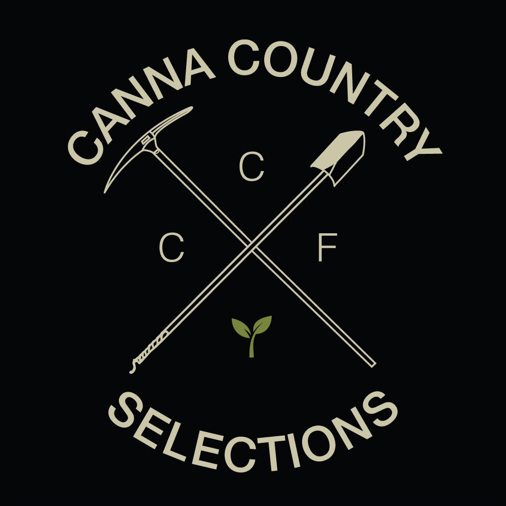 CC9 x CC29 - Fems – Tangled Roots