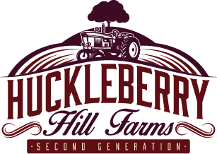huckleberry hill farms whitethorn rose seeds Paradise Pine - (Paradise Punch x Whitethorn Rose)