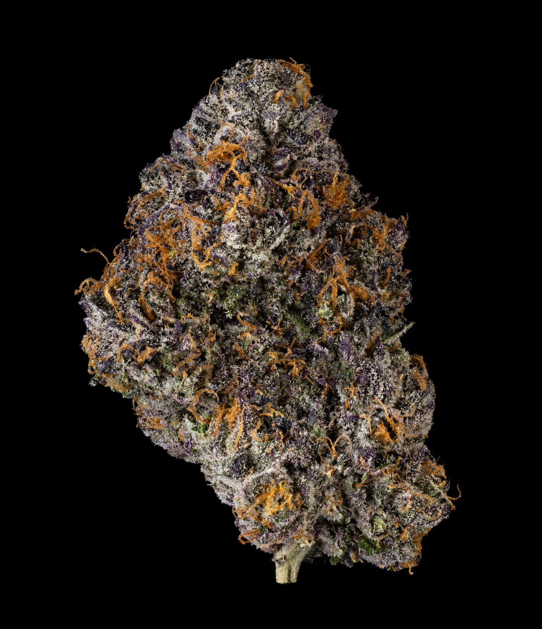 Moonwalkers x Blueberry Caviar - Fems