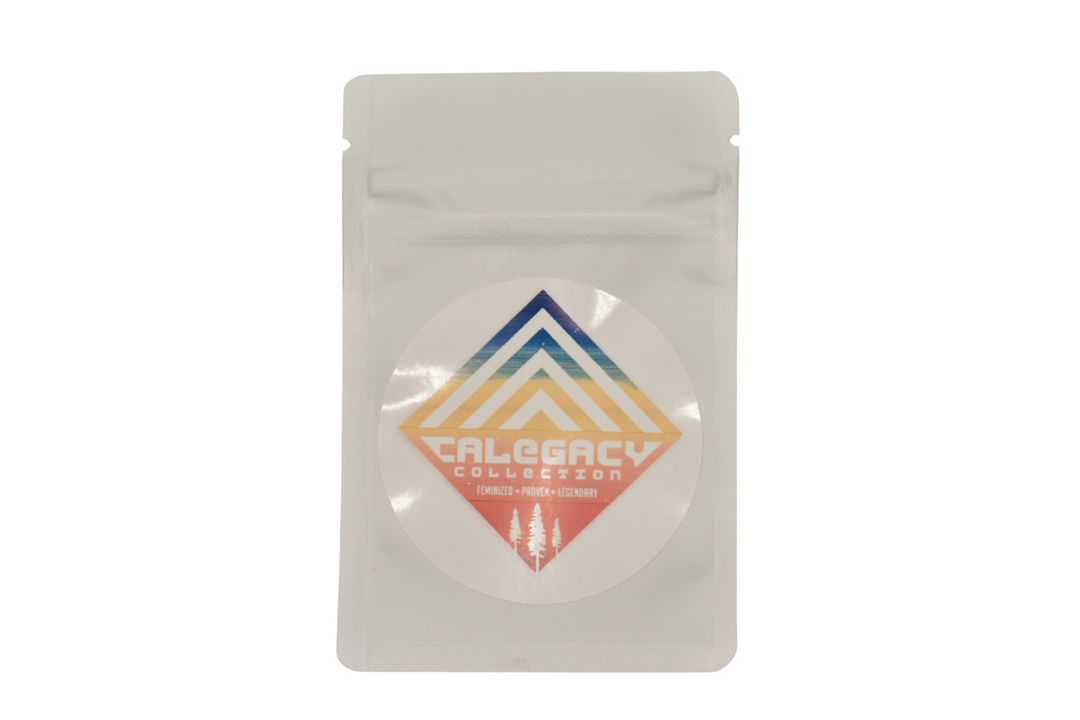Cheetah Piss x Gelato 41  - Fems