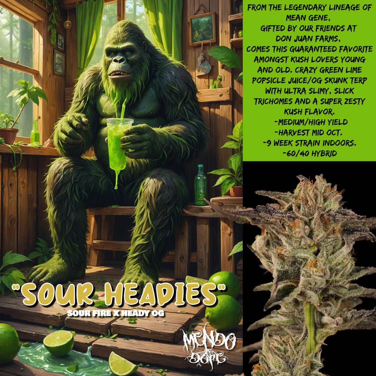 Sour Headies - Regs – Tangled Roots