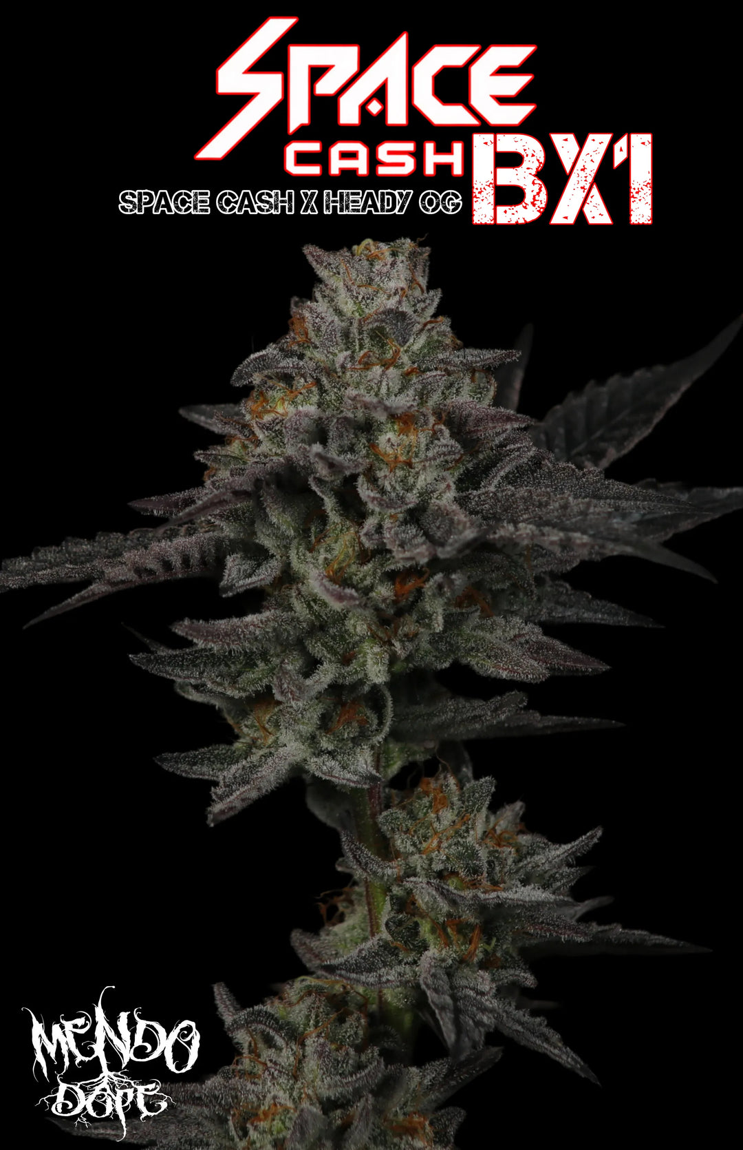 Space Cash BX - Regs