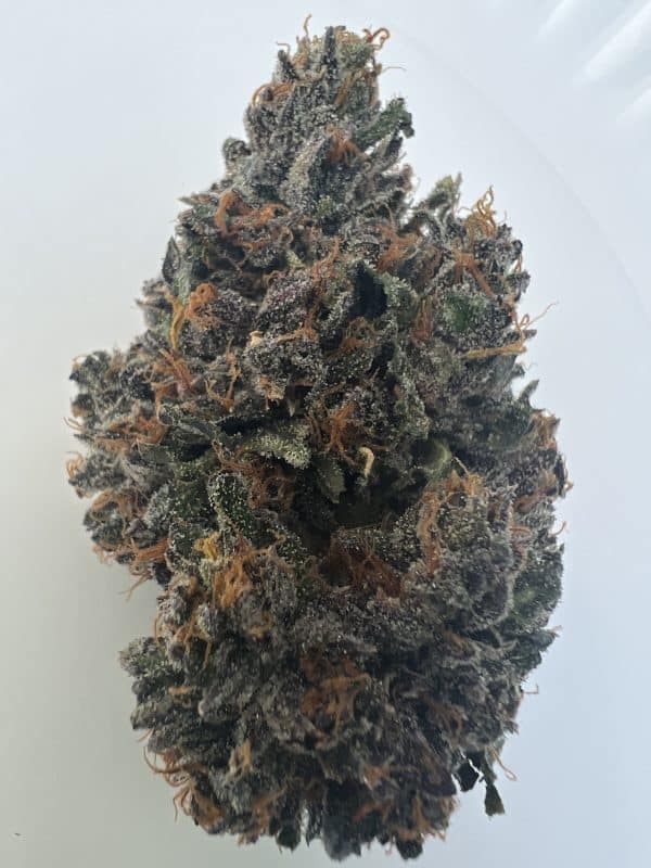 Donkey D's - (Not) Sour Diesel x G 41 - Fems