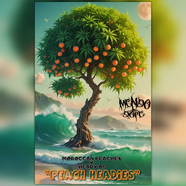 Peach Headies - 10 Pack Regs