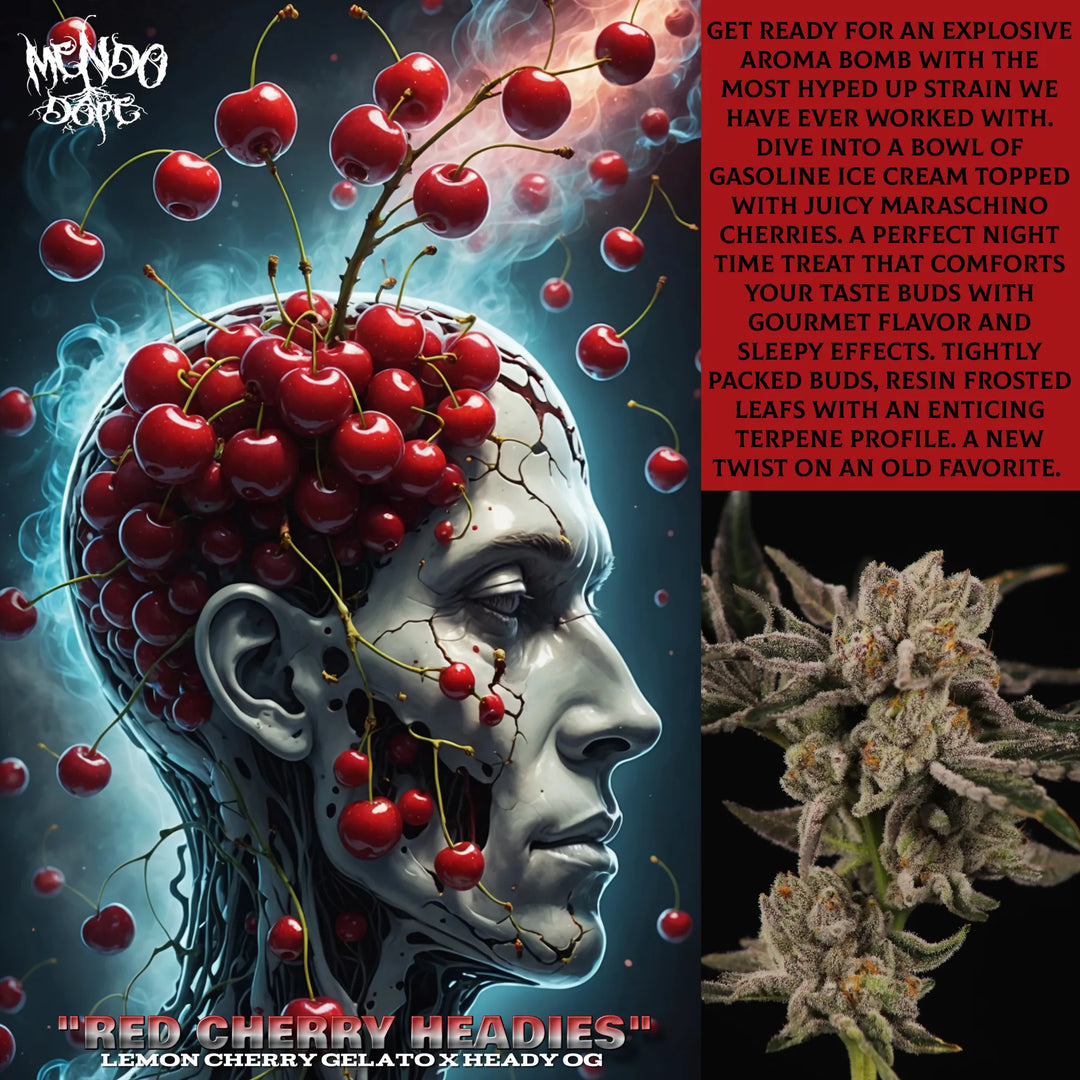 Red Cherry Headies - Regs