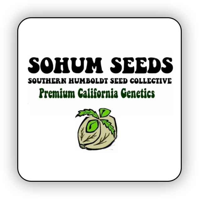 (Slurty 3 x Caramel Apple Gelato) x (Apples & Bananas x Savage Smoothie)